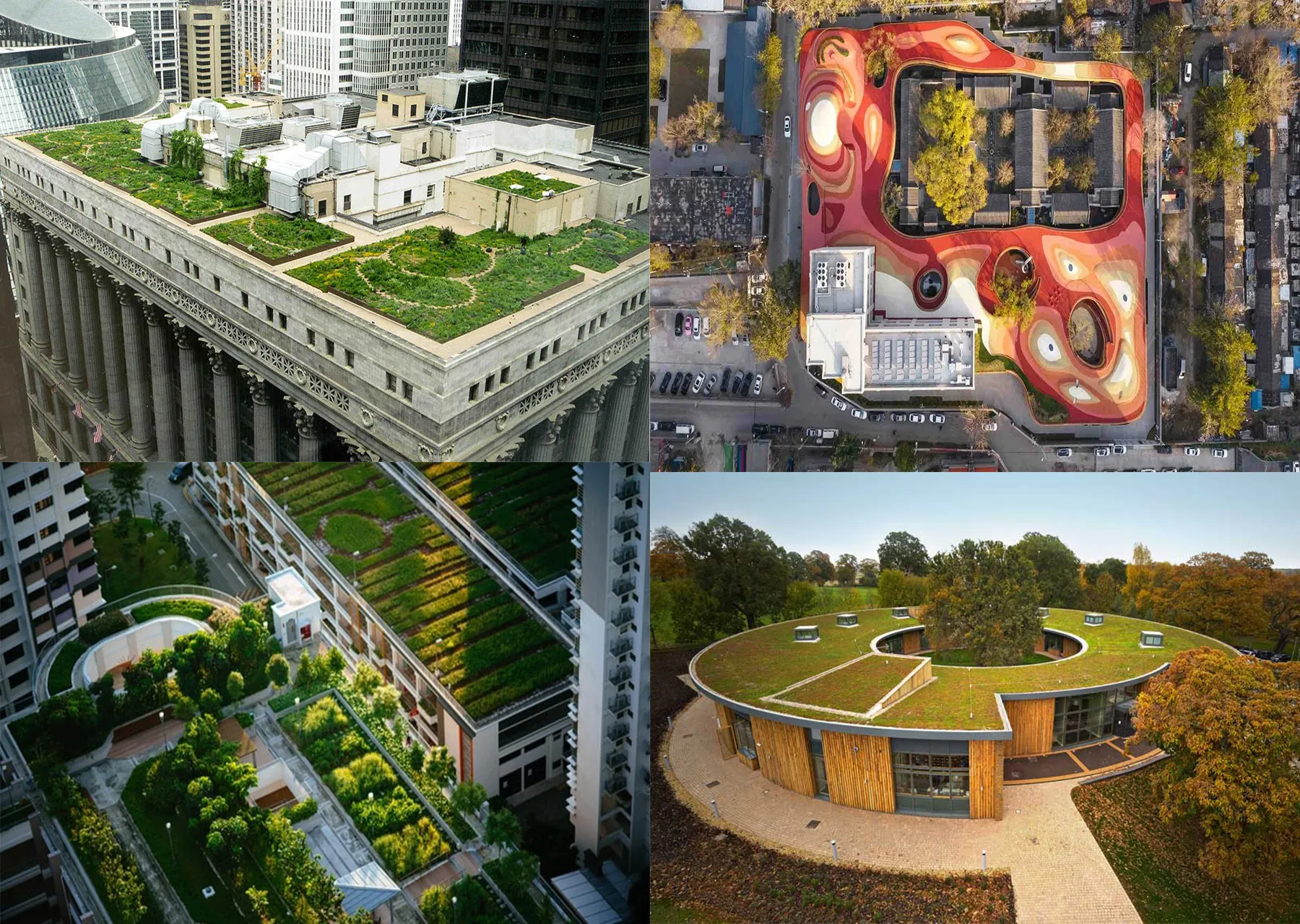 Çatı yeşillendirme tasarımı