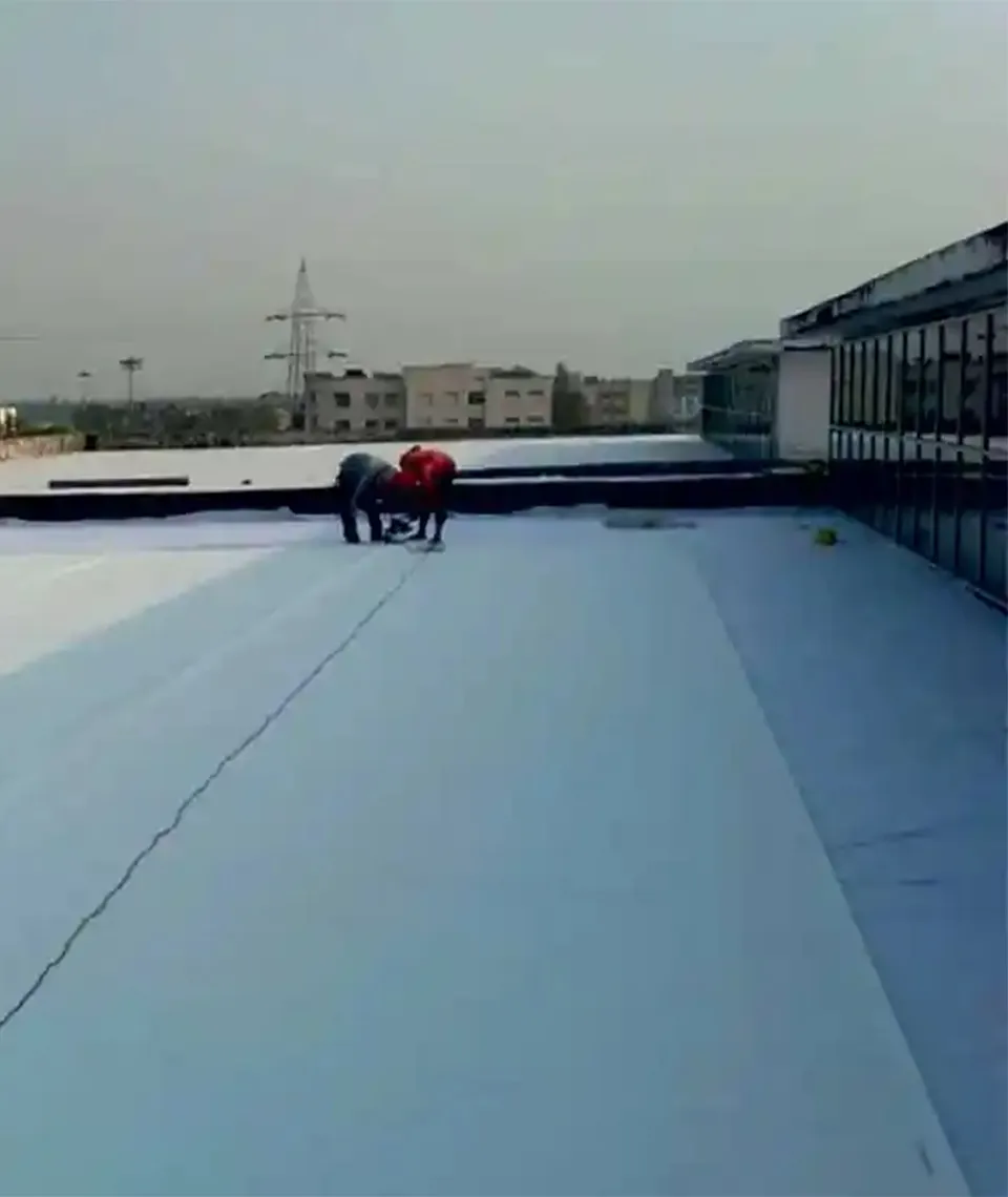 Roofs and Terraces_1 Roofs and Terraces